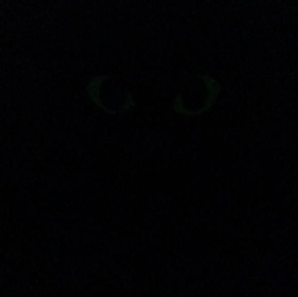 Build-A-Bear Workshop MIDNIGHT SPARKLE CAT Halloween Plush Stuffed Animal - Picture 7 of 7